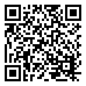 Stroke Survivor Online donation QR code